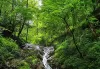 آبشاری در قلب جنگل به نام کچا